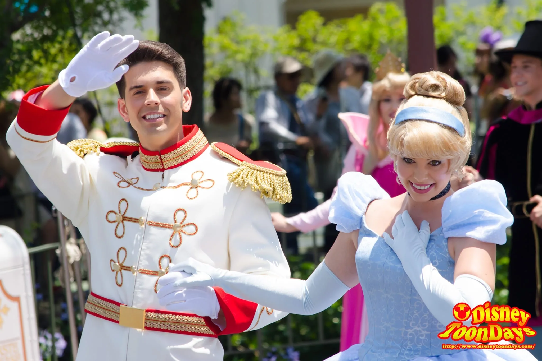 TDL 七夕グリーティング 2013 シンデレラ　プリンスチャーミング